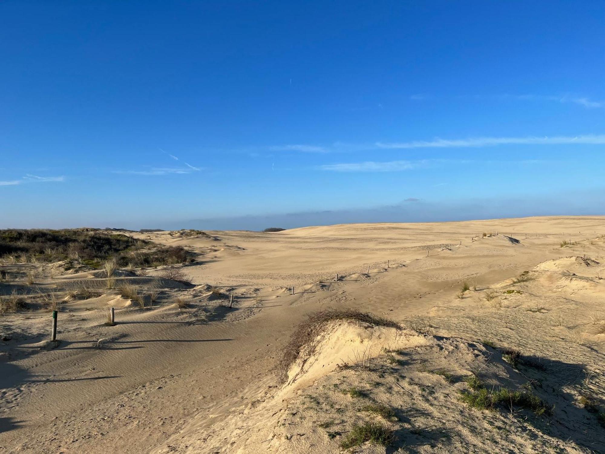 Logies La Parmentiere Appartement De Panne Buitenkant foto